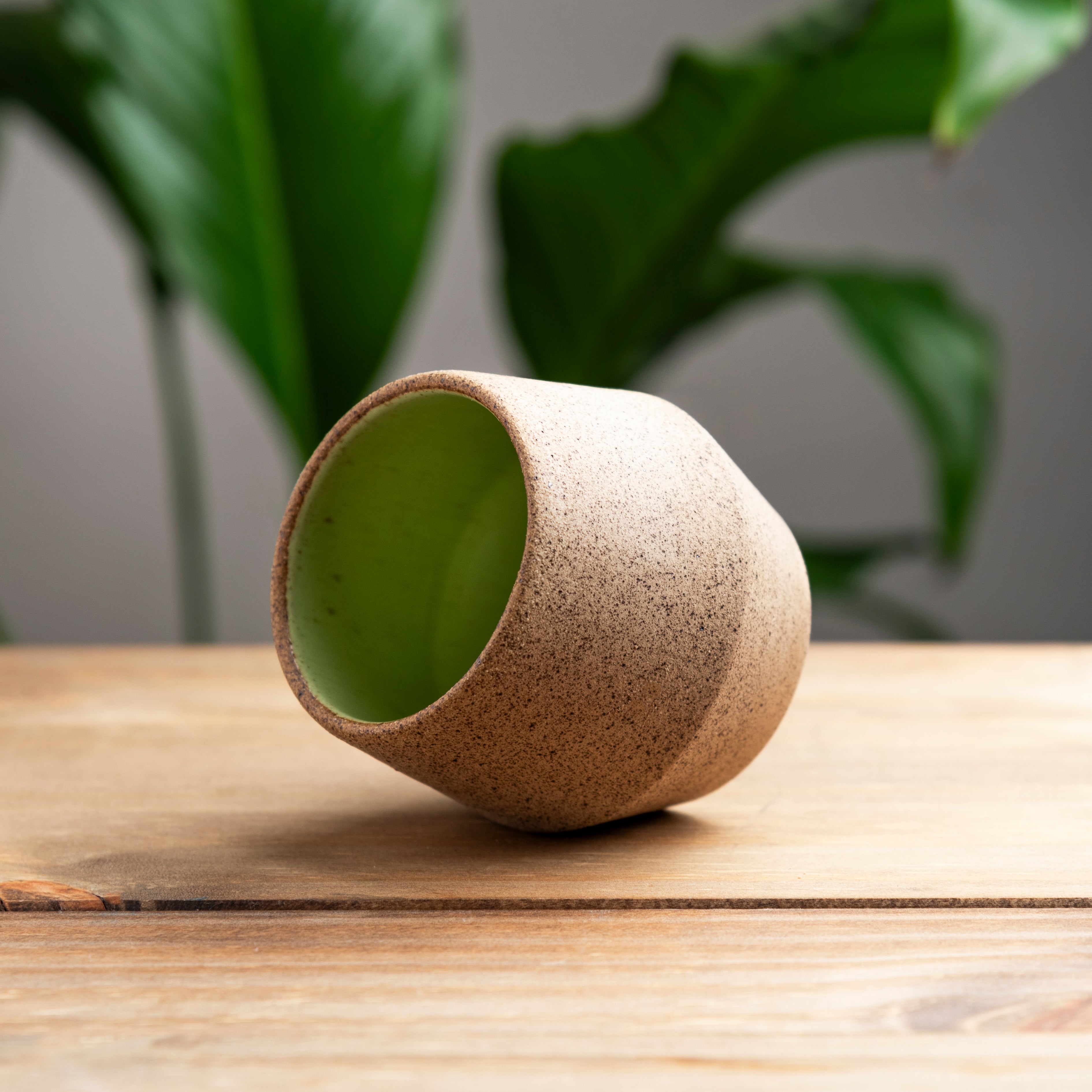 Copo Coquinho