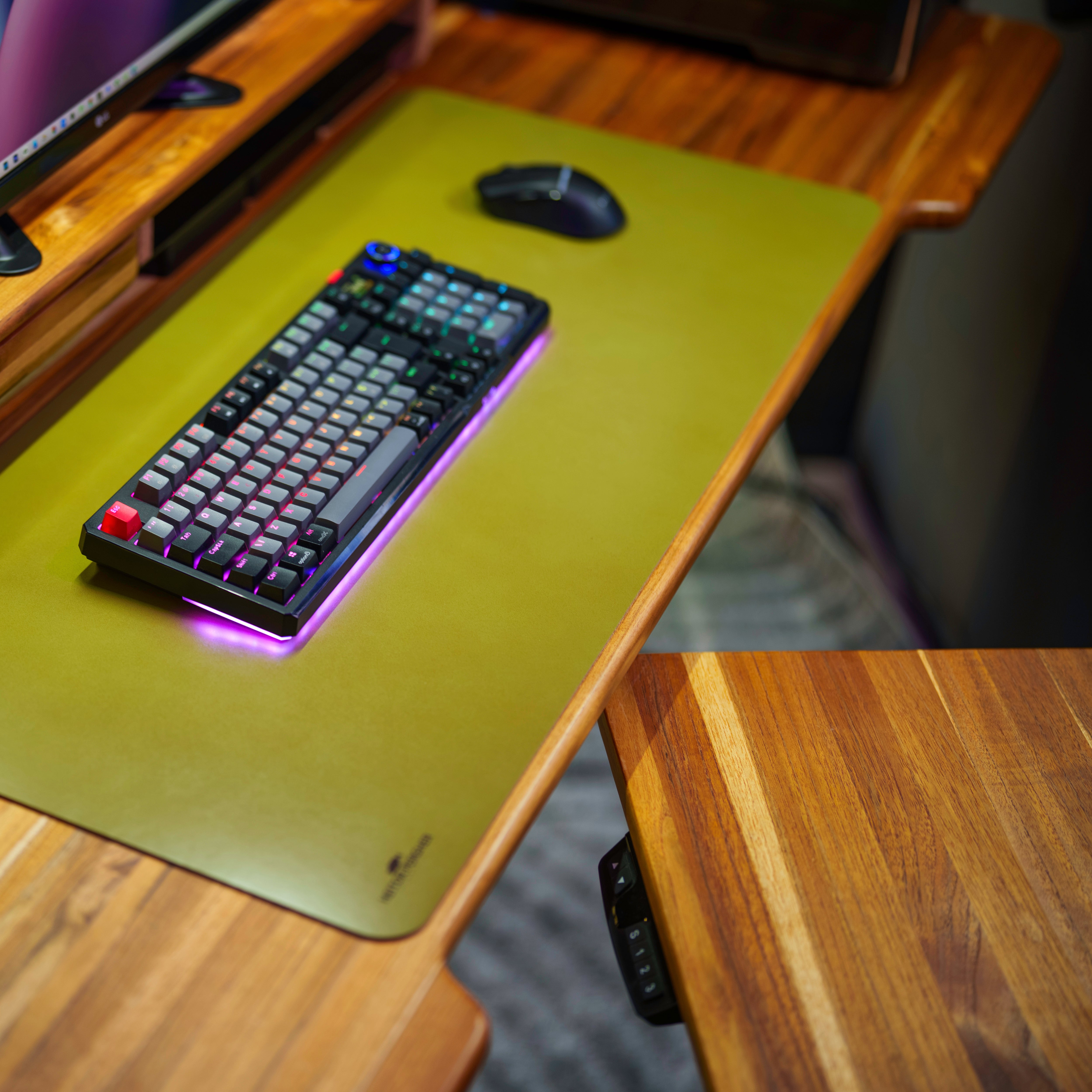 DS2 Pro