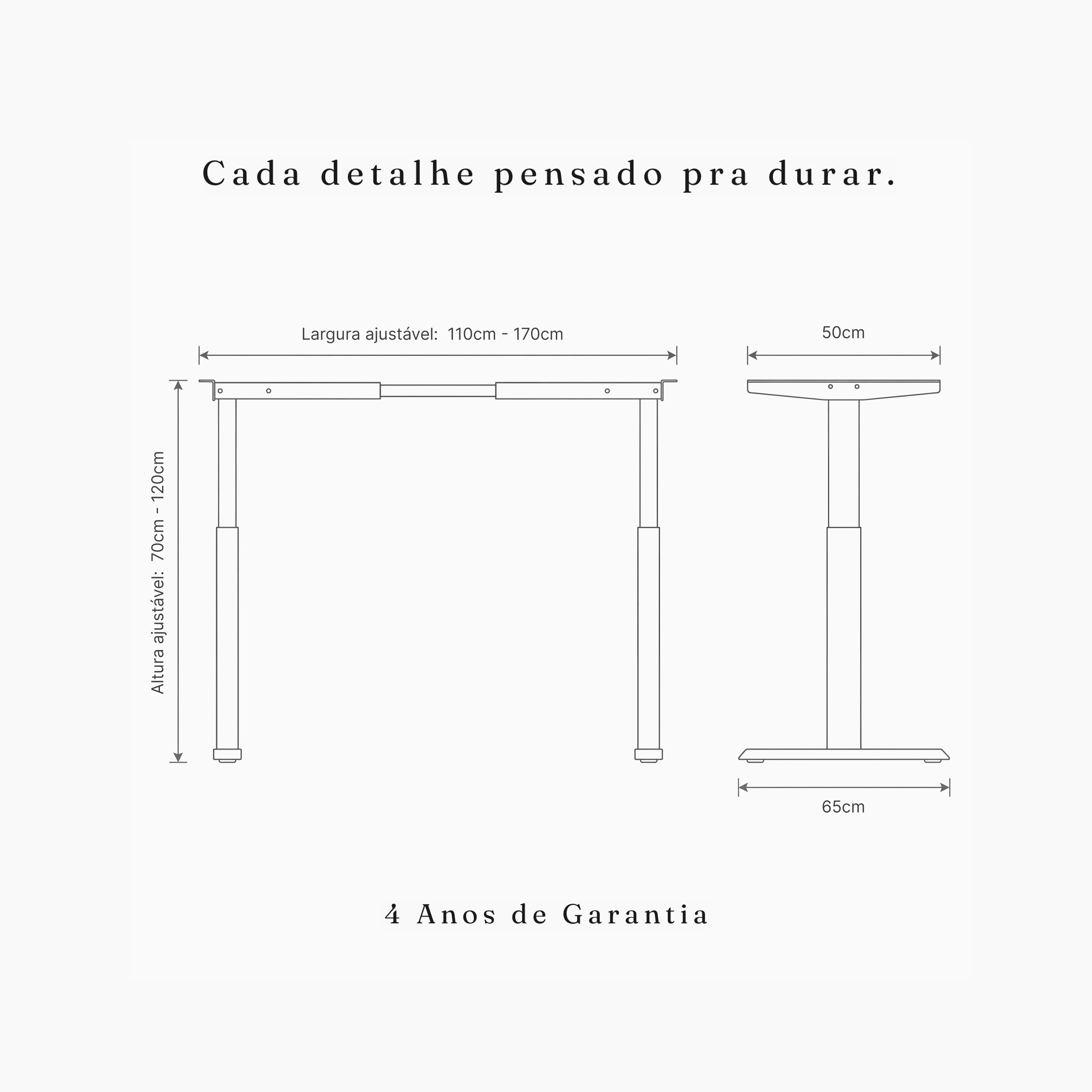 DS2 Pro